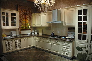 德v整體櫥柜 進(jìn)口吸塑系列與一站式衛(wèi)浴及日用雜貨批發(fā)